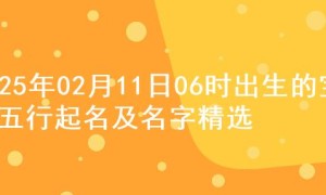 2025年02月11日06时出生的宝宝五行起名及名字精选