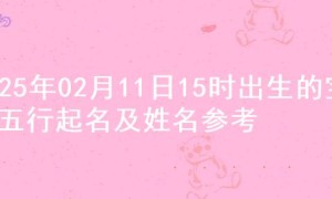 2025年02月11日15时出生的宝宝五行起名及姓名参考