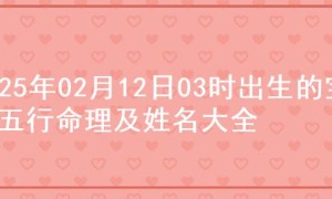 2025年02月12日03时出生的宝宝五行命理及姓名大全