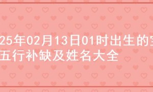 2025年02月13日01时出生的宝宝五行补缺及姓名大全