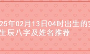 2025年02月13日04时出生的宝宝生辰八字及姓名推荐