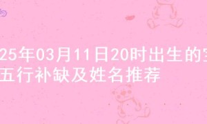 2025年03月11日20时出生的宝宝五行补缺及姓名推荐