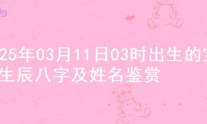 2025年03月11日03时出生的宝宝生辰八字及姓名鉴赏