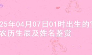 2025年04月07日01时出生的宝宝农历生辰及姓名鉴赏