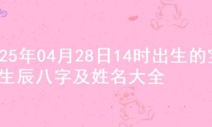 2025年04月28日14时出生的宝宝生辰八字及姓名大全