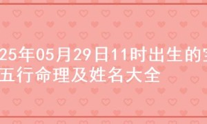 2025年05月29日11时出生的宝宝五行命理及姓名大全