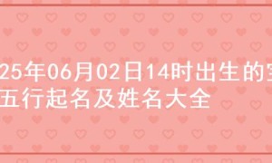 2025年06月02日14时出生的宝宝五行起名及姓名大全