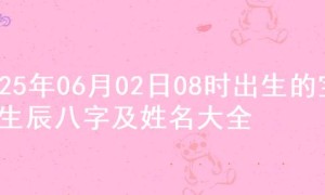 2025年06月02日08时出生的宝宝生辰八字及姓名大全
