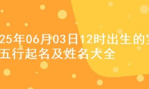 2025年06月03日12时出生的宝宝五行起名及姓名大全