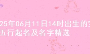 2025年06月11日14时出生的宝宝五行起名及名字精选