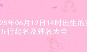2025年06月12日14时出生的宝宝五行起名及姓名大全