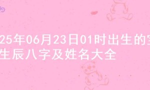 2025年06月23日01时出生的宝宝生辰八字及姓名大全