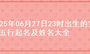 2025年06月27日23时出生的宝宝五行起名及姓名大全