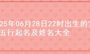 2025年06月28日22时出生的宝宝五行起名及姓名大全