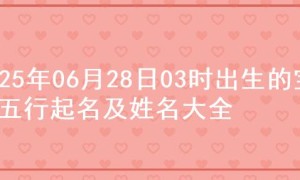 2025年06月28日03时出生的宝宝五行起名及姓名大全