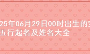2025年06月29日00时出生的宝宝五行起名及姓名大全