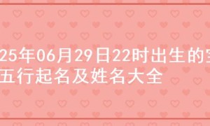 2025年06月29日22时出生的宝宝五行起名及姓名大全