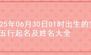 2025年06月30日01时出生的宝宝五行起名及姓名大全