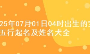 2025年07月01日04时出生的宝宝五行起名及姓名大全