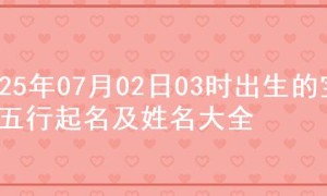 2025年07月02日03时出生的宝宝五行起名及姓名大全