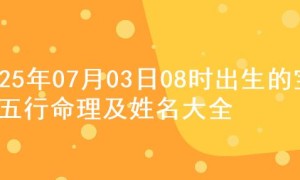 2025年07月03日08时出生的宝宝五行命理及姓名大全