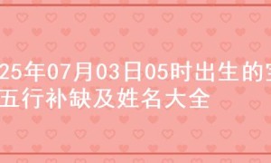 2025年07月03日05时出生的宝宝五行补缺及姓名大全