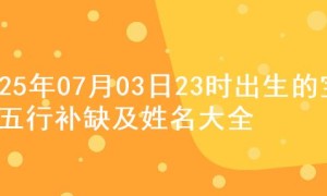 2025年07月03日23时出生的宝宝五行补缺及姓名大全