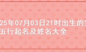 2025年07月03日21时出生的宝宝五行起名及姓名大全