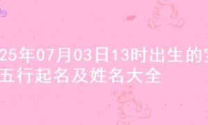 2025年07月03日13时出生的宝宝五行起名及姓名大全