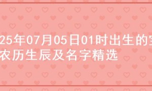 2025年07月05日01时出生的宝宝农历生辰及名字精选
