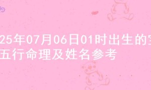 2025年07月06日01时出生的宝宝五行命理及姓名参考