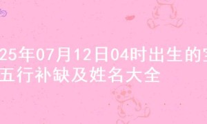2025年07月12日04时出生的宝宝五行补缺及姓名大全