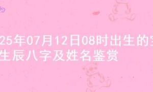2025年07月12日08时出生的宝宝生辰八字及姓名鉴赏