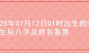 2025年07月12日01时出生的宝宝生辰八字及姓名鉴赏