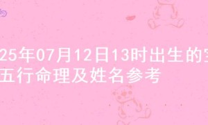 2025年07月12日13时出生的宝宝五行命理及姓名参考