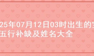 2025年07月12日03时出生的宝宝五行补缺及姓名大全