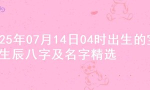 2025年07月14日04时出生的宝宝生辰八字及名字精选
