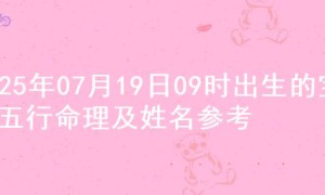 2025年07月19日09时出生的宝宝五行命理及姓名参考
