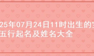 2025年07月24日11时出生的宝宝五行起名及姓名大全